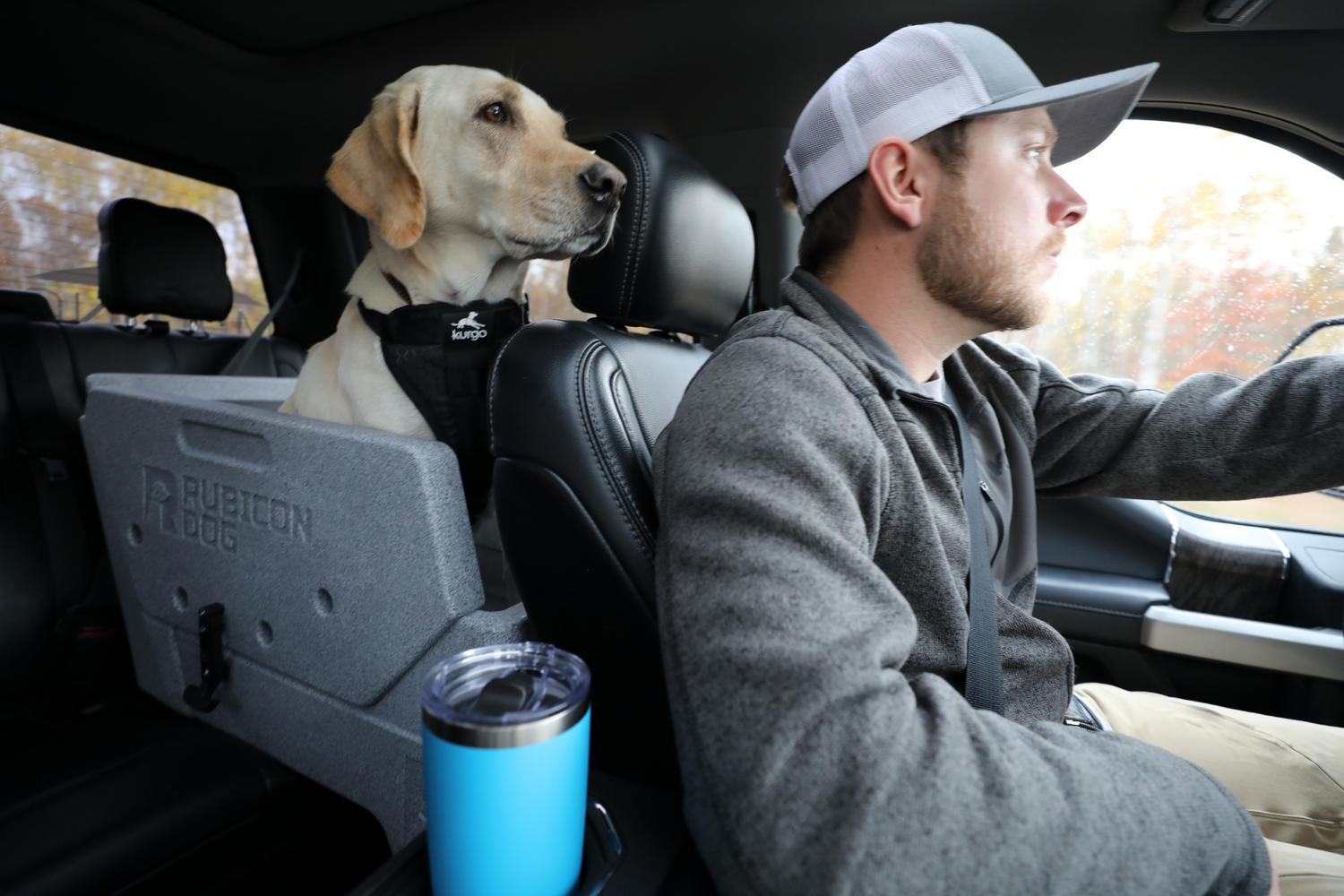 Stunning Crate Training Rubicon Systems image