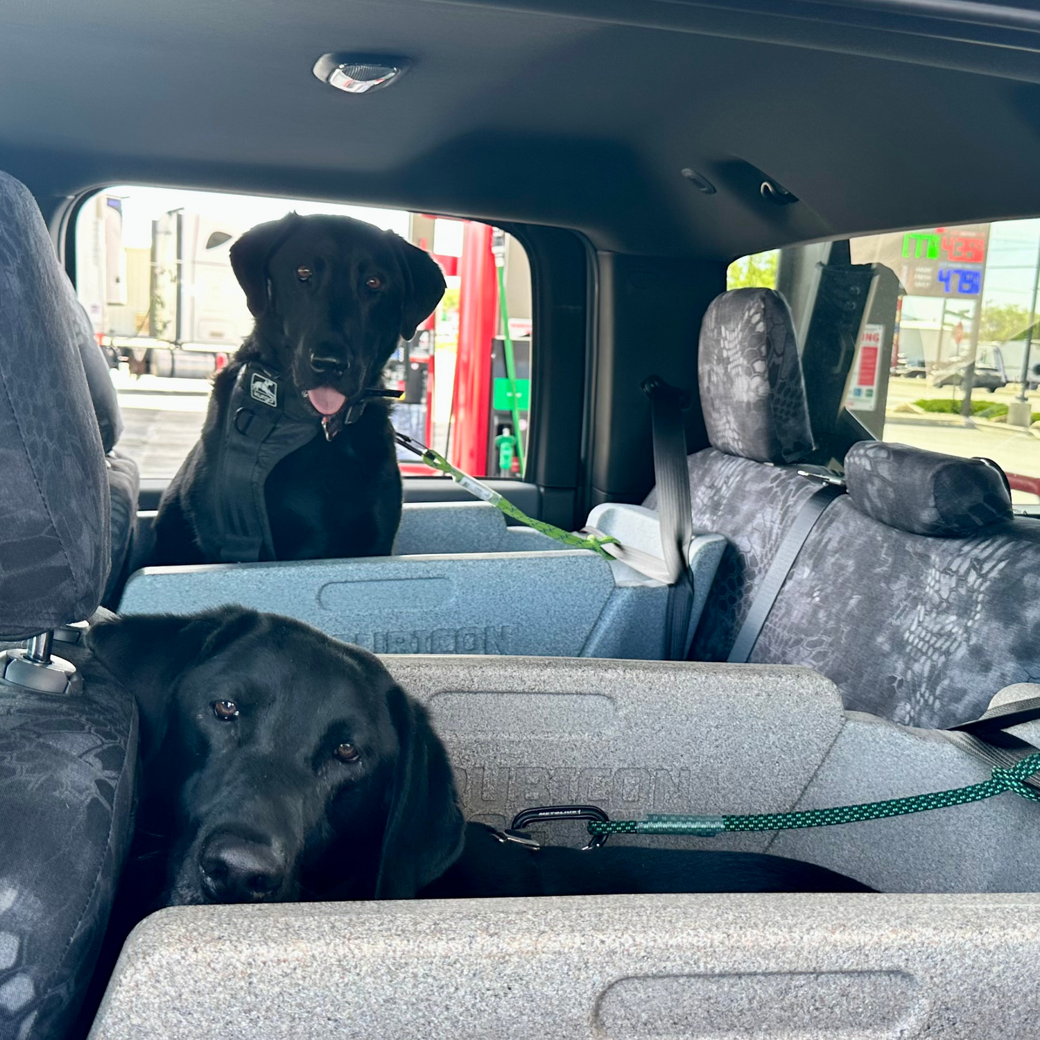 Rear Seat Dog Crate powered by Rubicon Dog™ | Compatible with Under Seat Storage