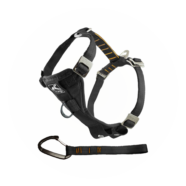 Tru-Fit Dog Car Harness